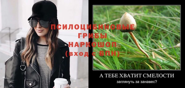 a pvp Киренск