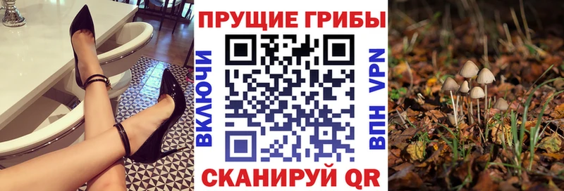 Галлюциногенные грибы прущие грибы  Купить закладки  Бузулук 
